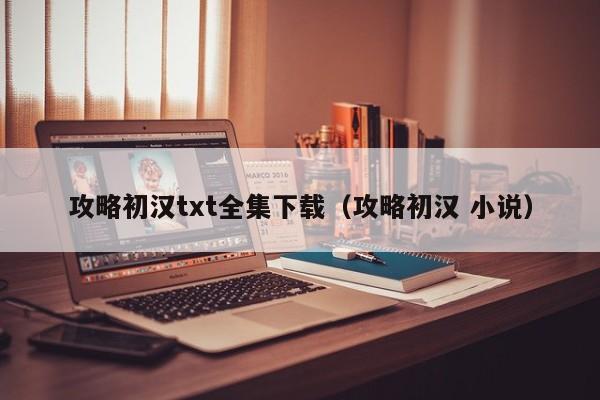 攻略初汉txt全集下载（攻略初汉 小说）