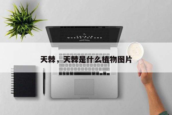 天棘，天棘是什么植物图片