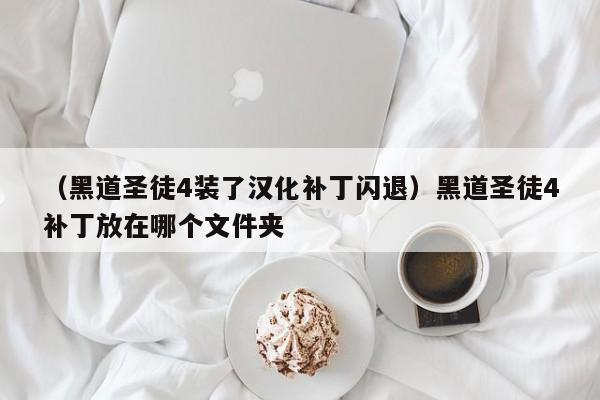 （黑道圣徒4装了汉化补丁闪退）黑道圣徒4补丁放在哪个文件夹