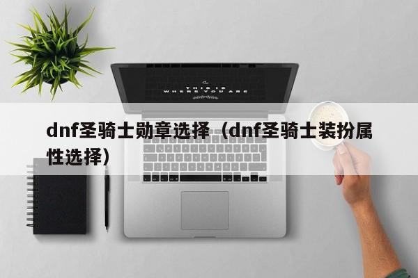 dnf圣骑士勋章选择（dnf圣骑士装扮属性选择）