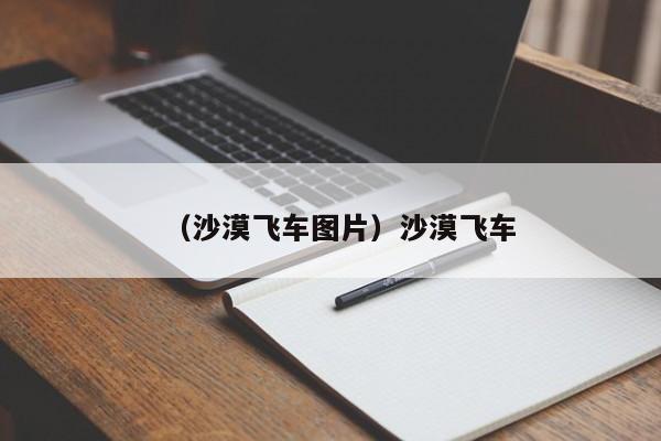（沙漠飞车图片）沙漠飞车
