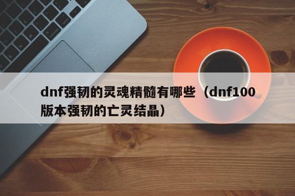 dnf强韧的灵魂精髓有哪些（dnf100版本强韧的亡灵结晶）