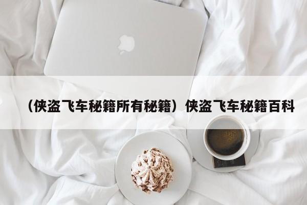 （侠盗飞车秘籍所有秘籍）侠盗飞车秘籍百科