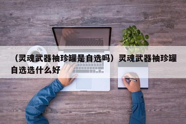（灵魂武器袖珍罐是自选吗）灵魂武器袖珍罐自选选什么好
