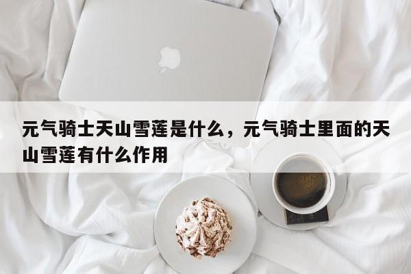 元气骑士天山雪莲是什么，元气骑士里面的天山雪莲有什么作用