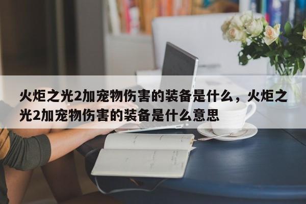 火炬之光2加宠物伤害的装备是什么，火炬之光2加宠物伤害的装备是什么意思