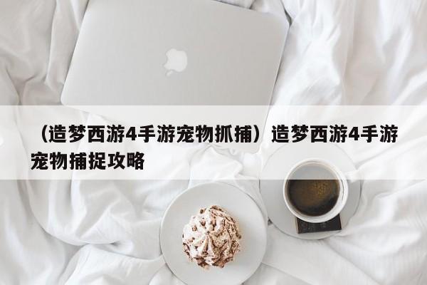 （造梦西游4手游宠物抓捕）造梦西游4手游宠物捕捉攻略