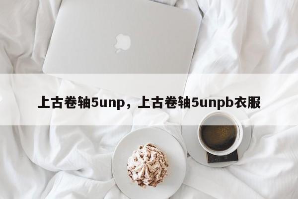 上古卷轴5unp，上古卷轴5unpb衣服