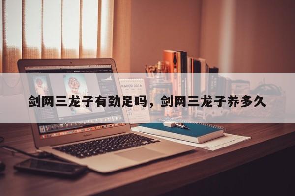 剑网三龙子有劲足吗，剑网三龙子养多久