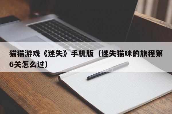 猫猫游戏《迷失》手机版（迷失猫咪的旅程第6关怎么过）