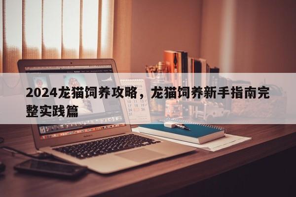 2024龙猫饲养攻略，龙猫饲养新手指南完整实践篇