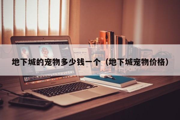 地下城的宠物多少钱一个（地下城宠物价格）