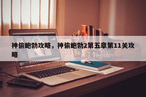 神偷鲍勃攻略，神偷鲍勃2第五章第11关攻略
