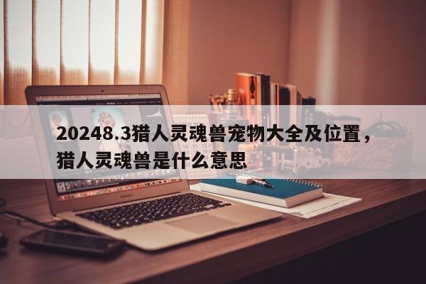 20248.3猎人灵魂兽宠物大全及位置，猎人灵魂兽是什么意思